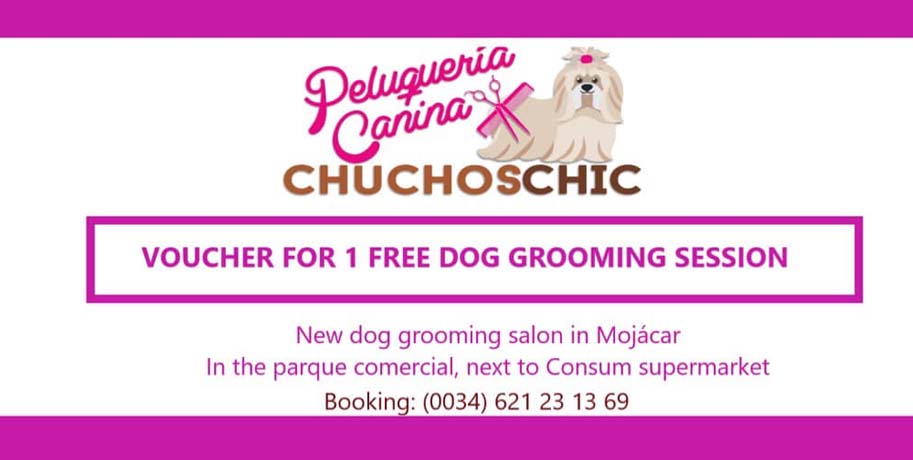Dog Grooming Voucher at ChuChosChic